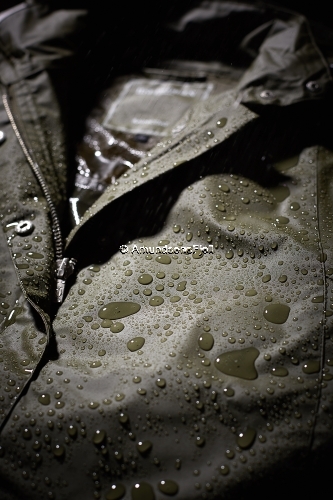 ILSE JACOBSEN Rain 24 Army #